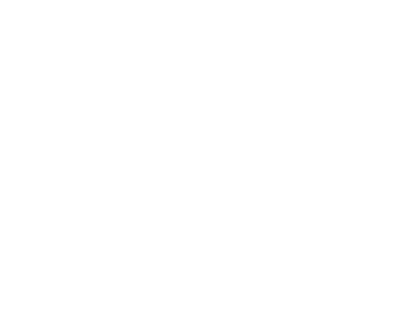The Coalition