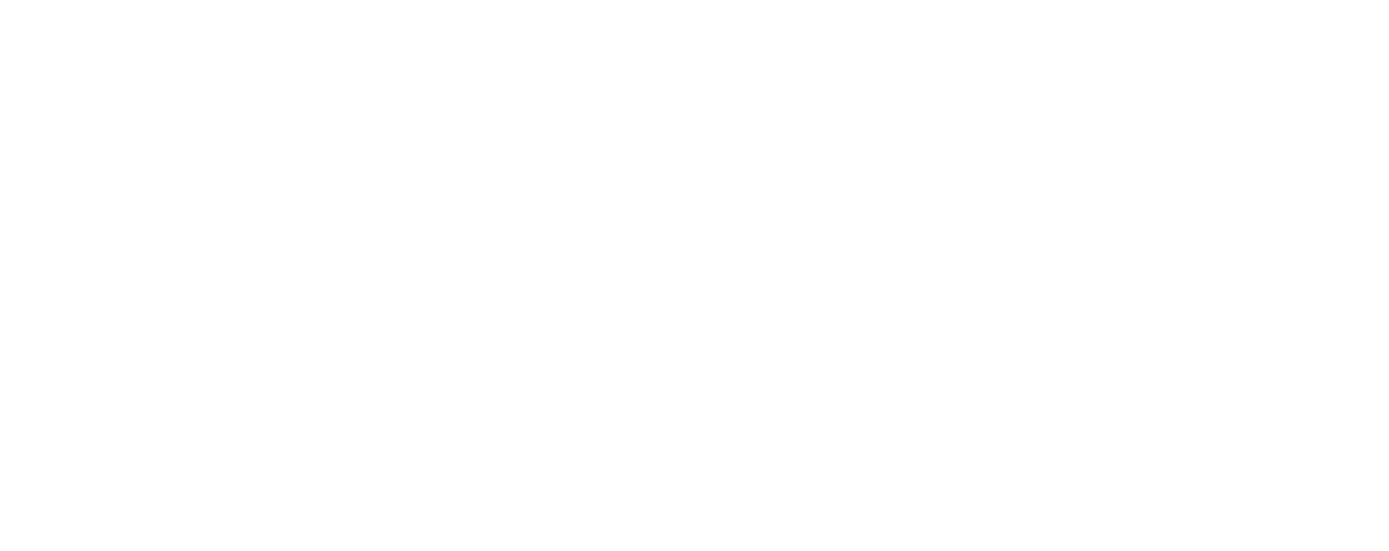 Digital Domain