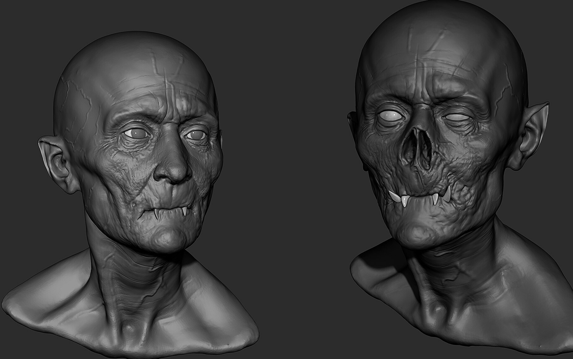 Facial anatomy studies by Marco Menco